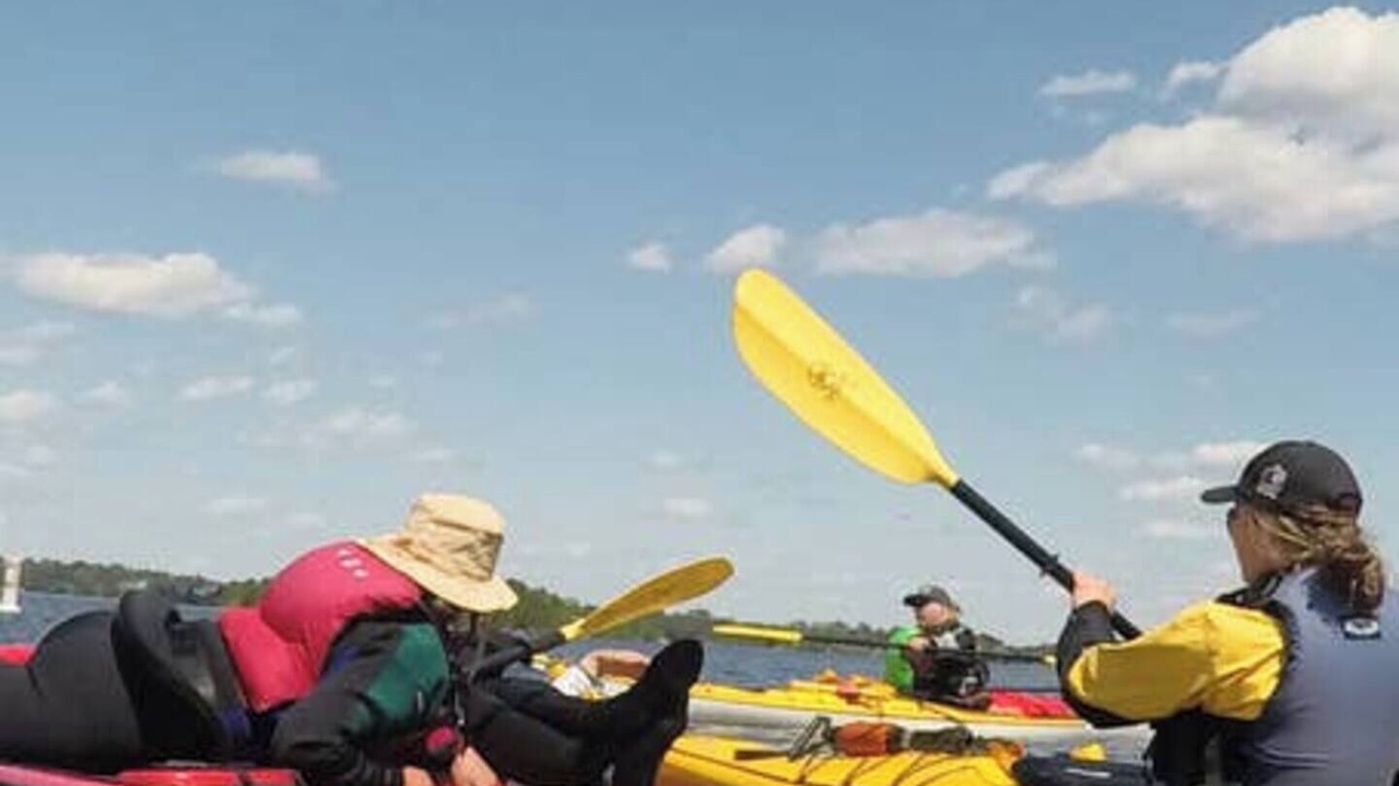 Photo of Others in North Bay