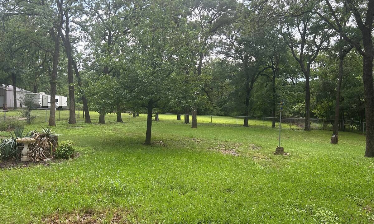 Photo of Outdoor in Elm Mott