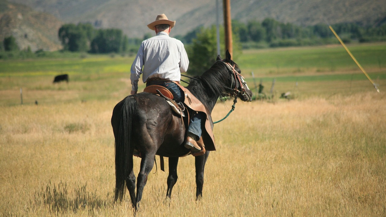Photo of Others in Cokeville