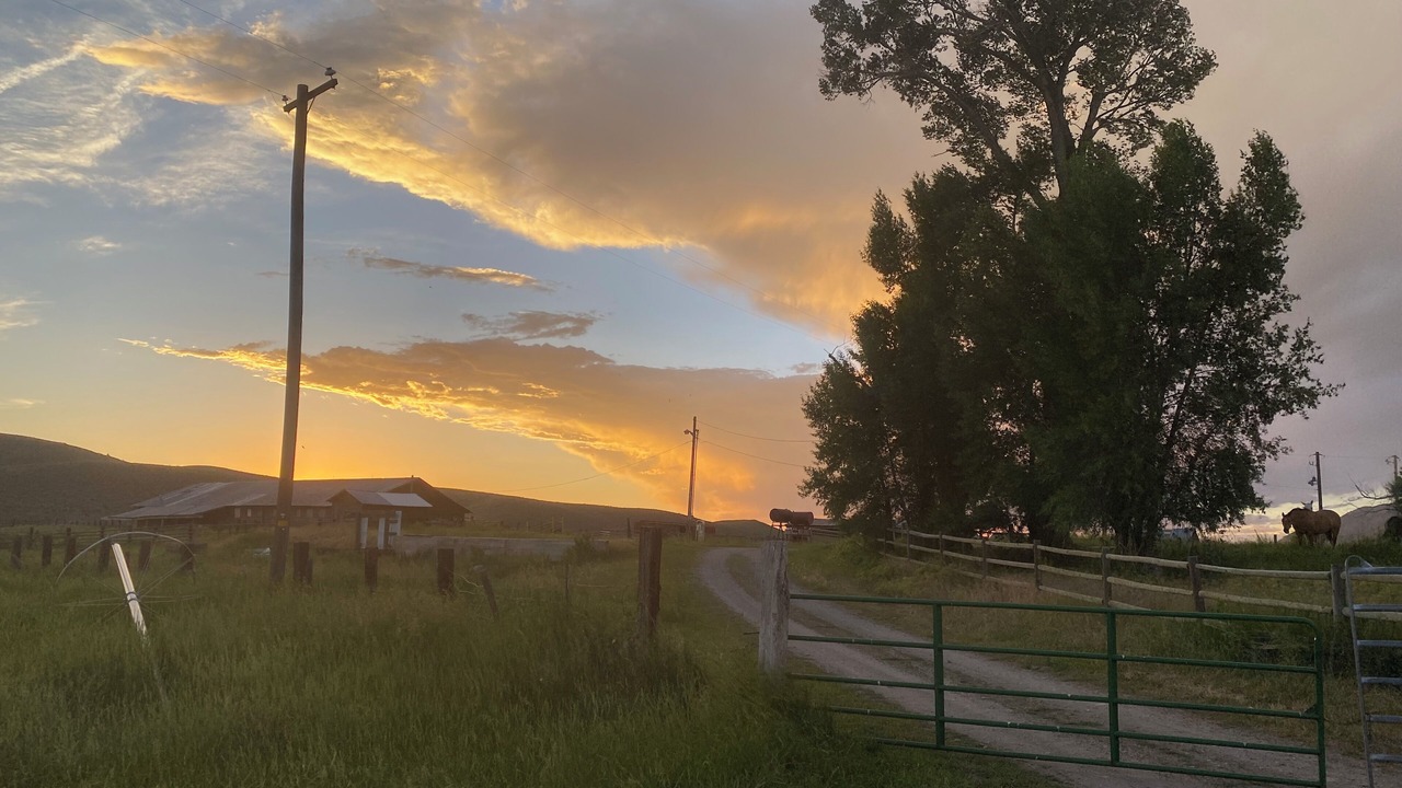Photo of Others in Cokeville