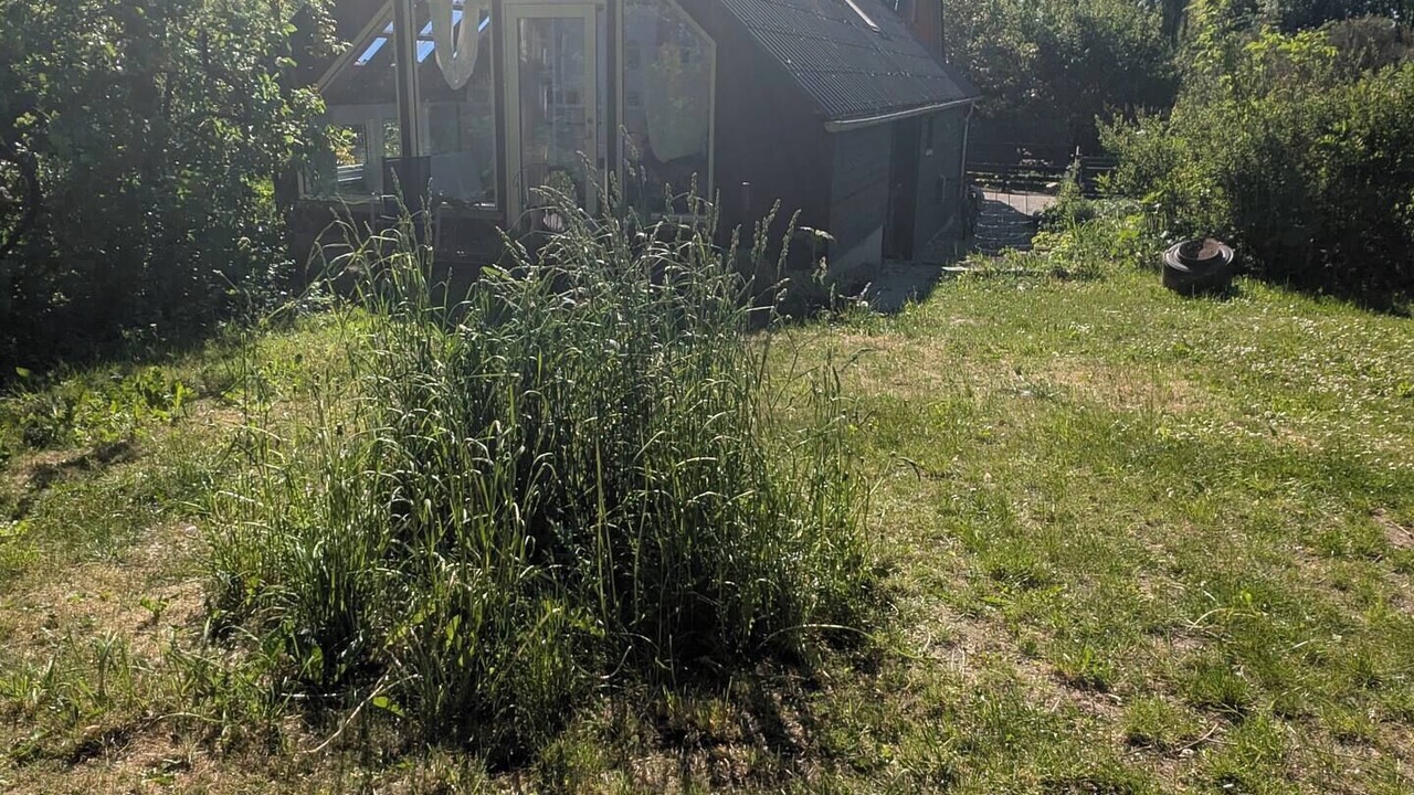 Photo of Outdoor in Hesselager