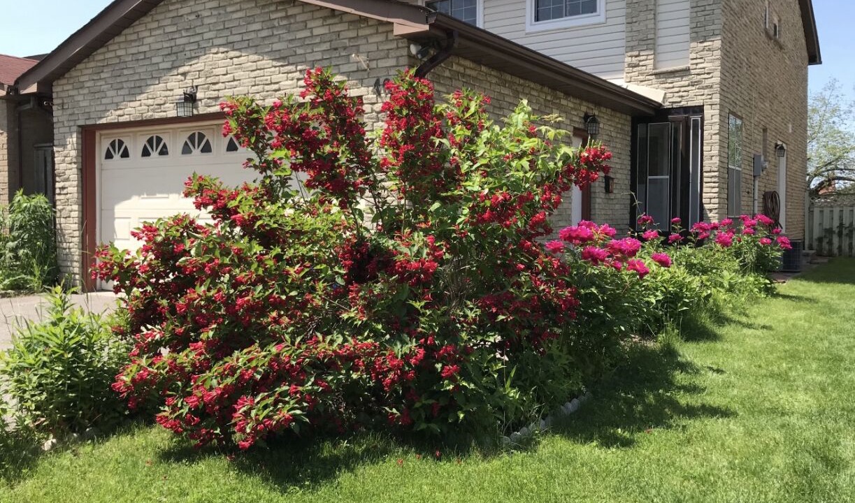 Photo of Outdoor in Unionville