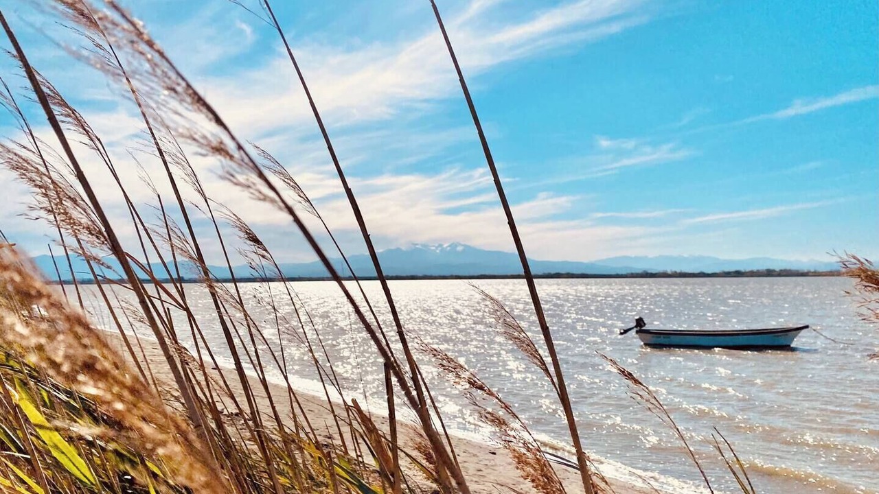 Photo of Others in La Jetee