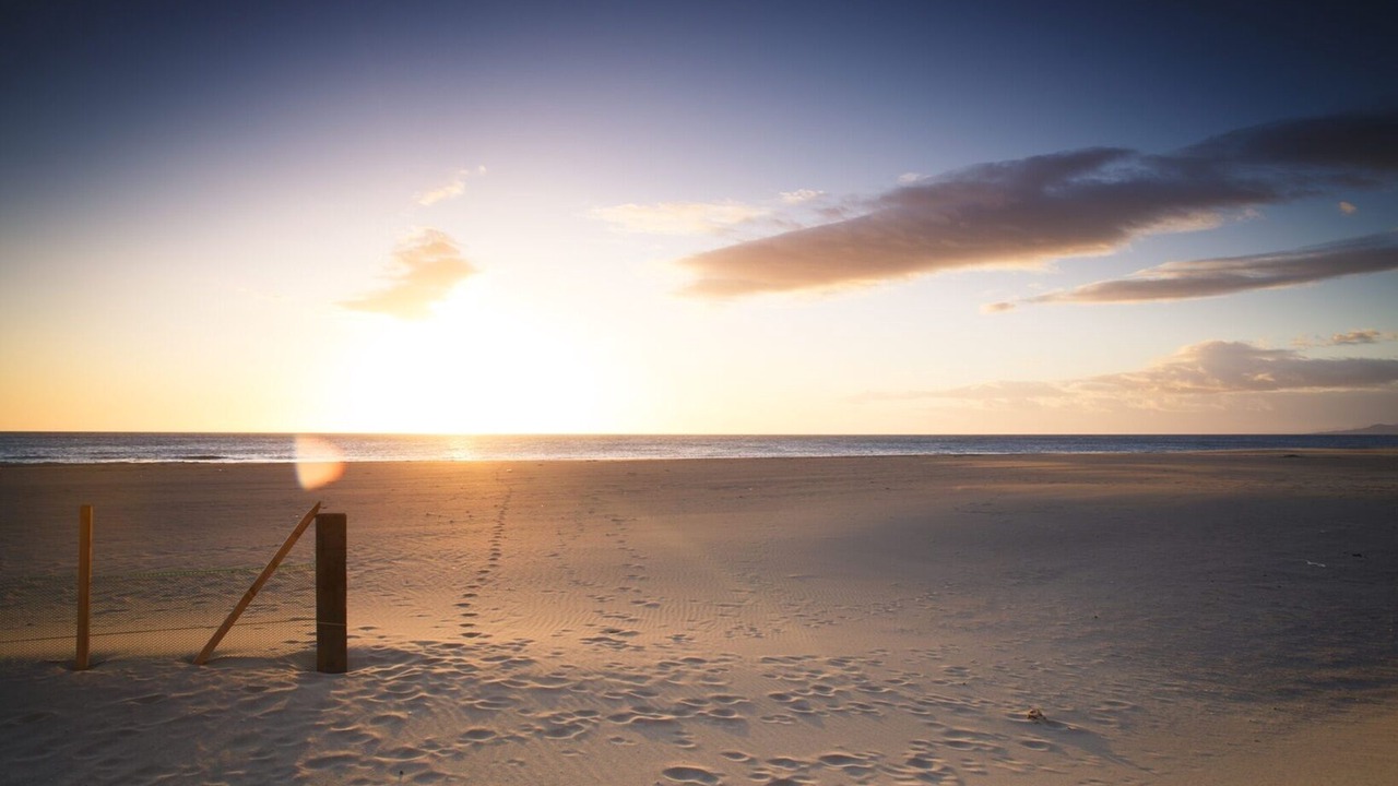 Photo of Others in La Jetee