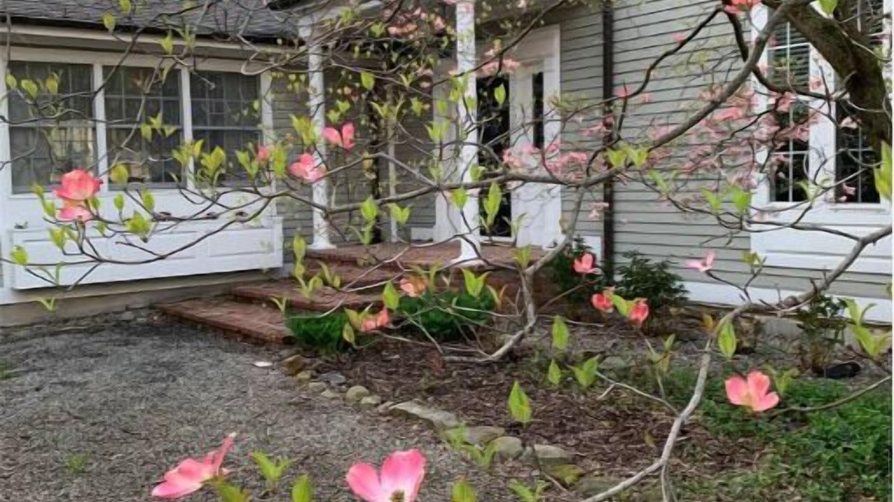 Photo of Outdoor in New Windsor