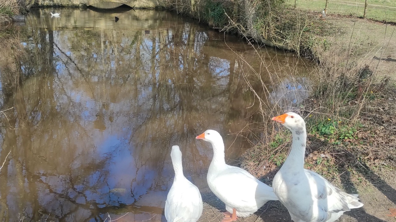 Photo of Others in Bazouges-sur-le-Loir