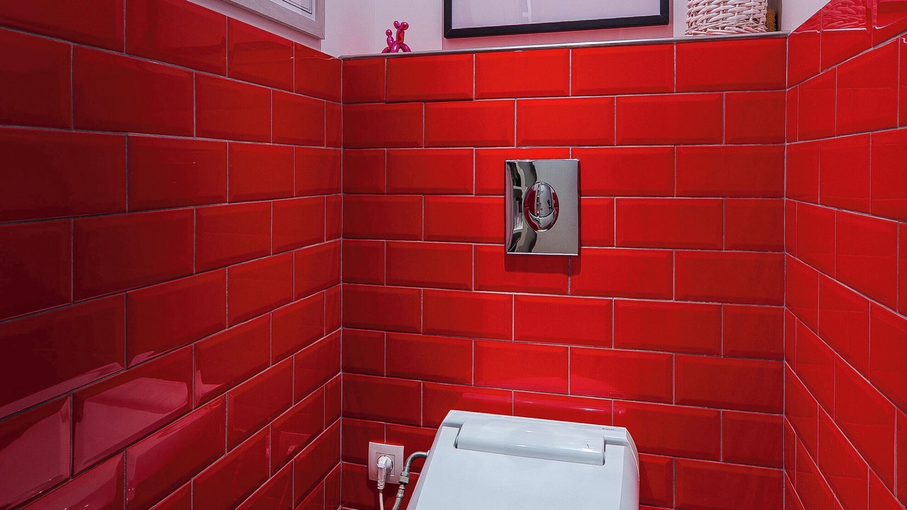 Photo of Bathroom in Clamart
