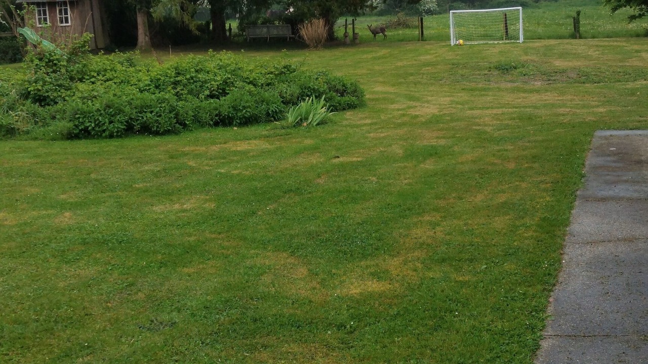 Photo of Outdoor in Lancheres