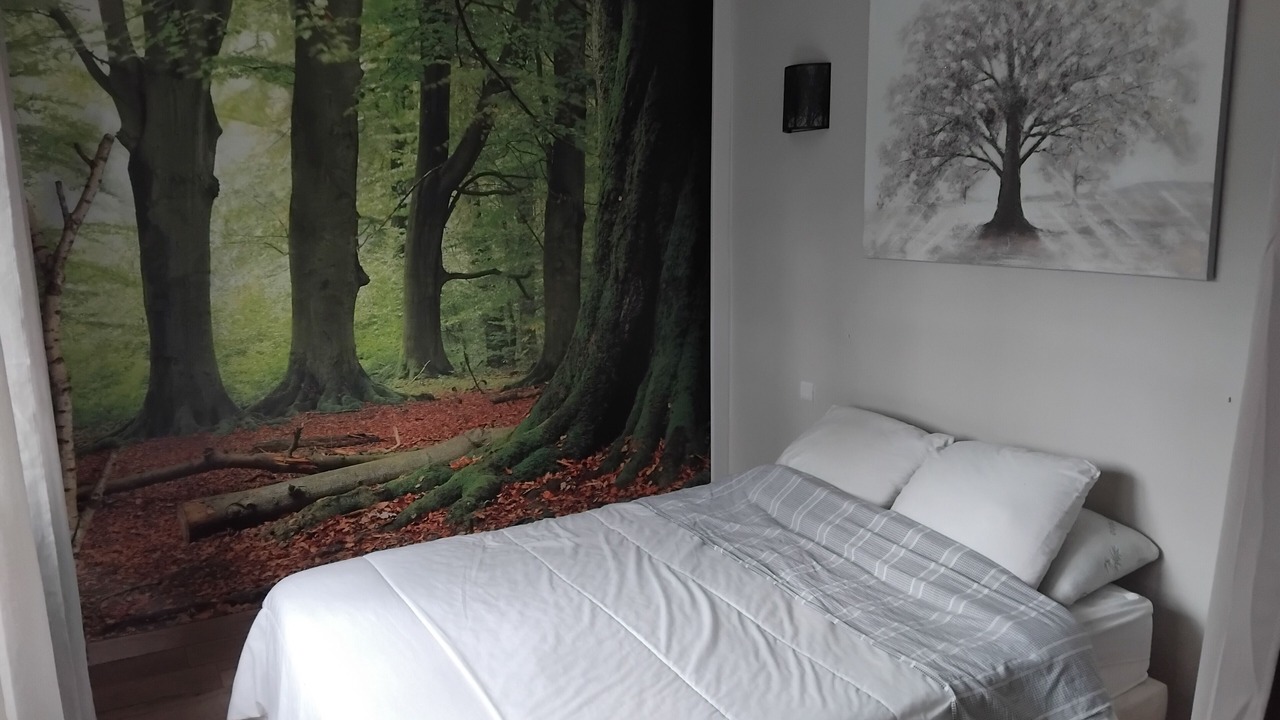 Photo of Bedroom in Lancheres