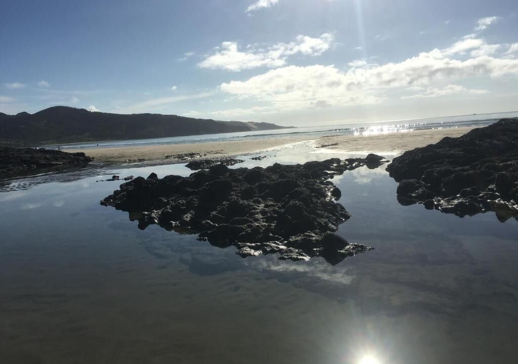 Photo of Others in Ahipara