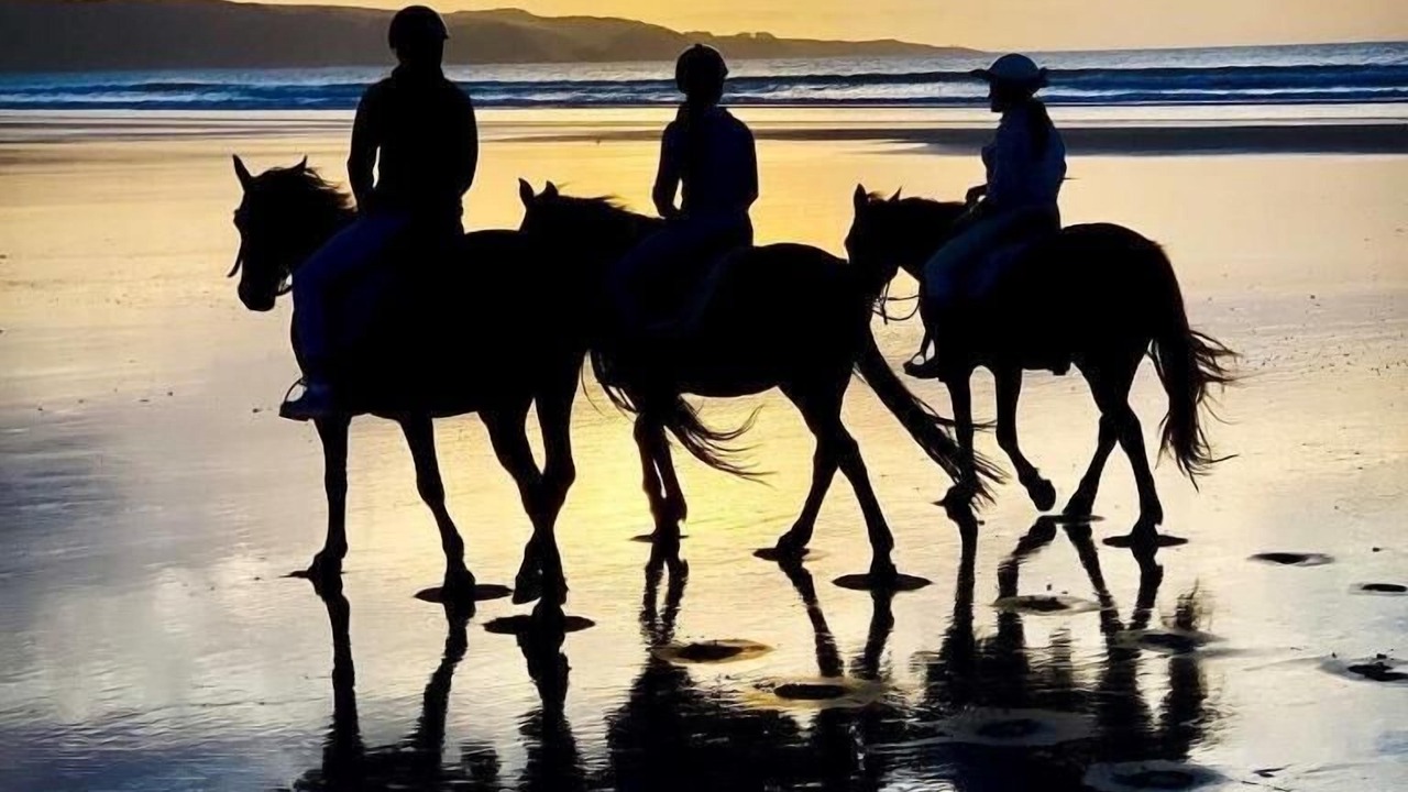 Photo of Others in Ahipara