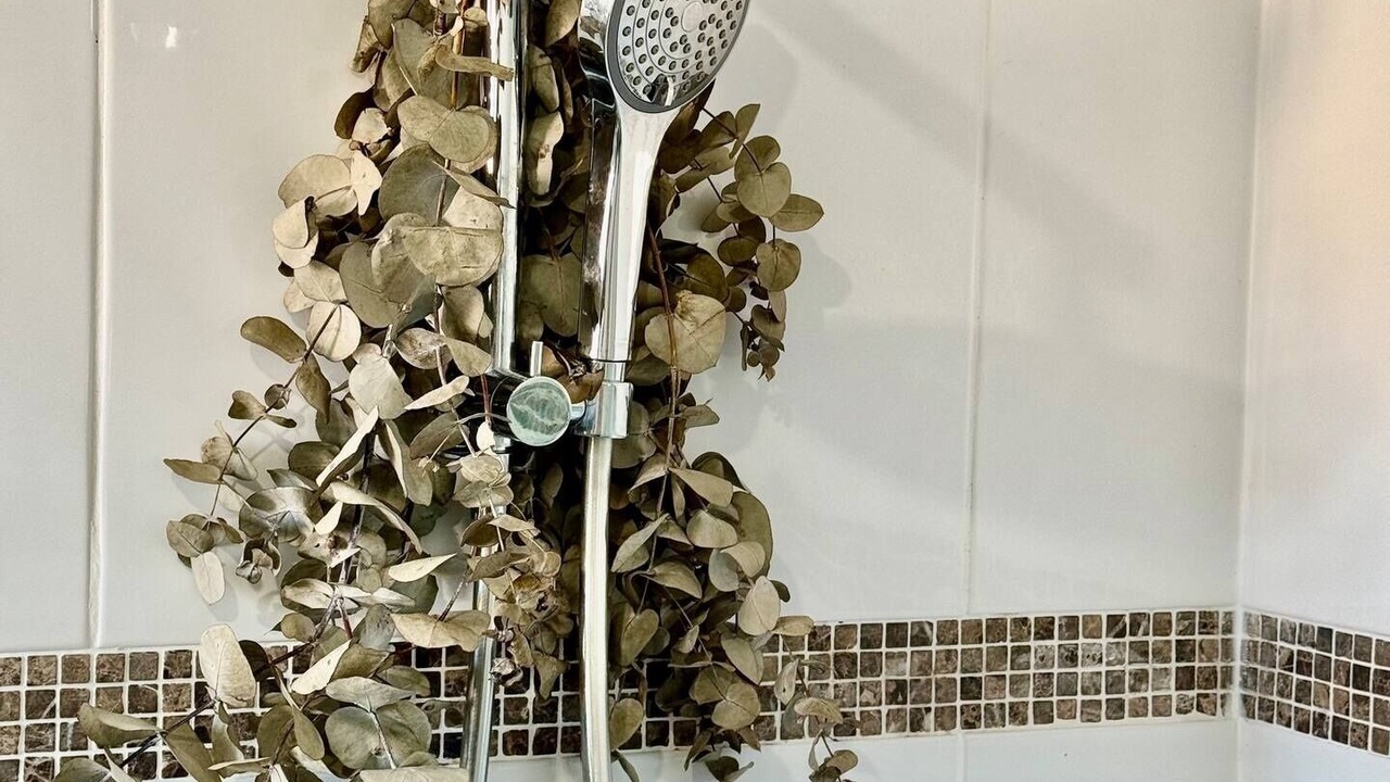 Photo of Others in Sydney