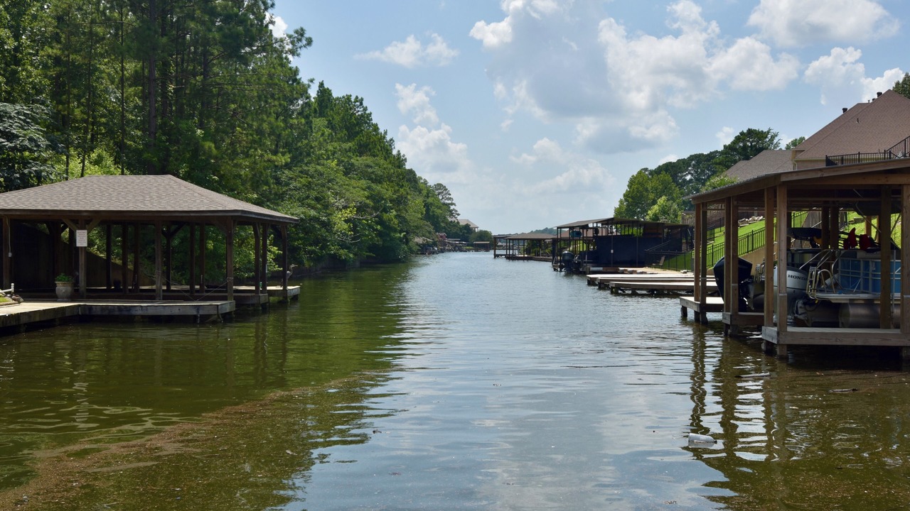Photo of Others in Lake Hamilton