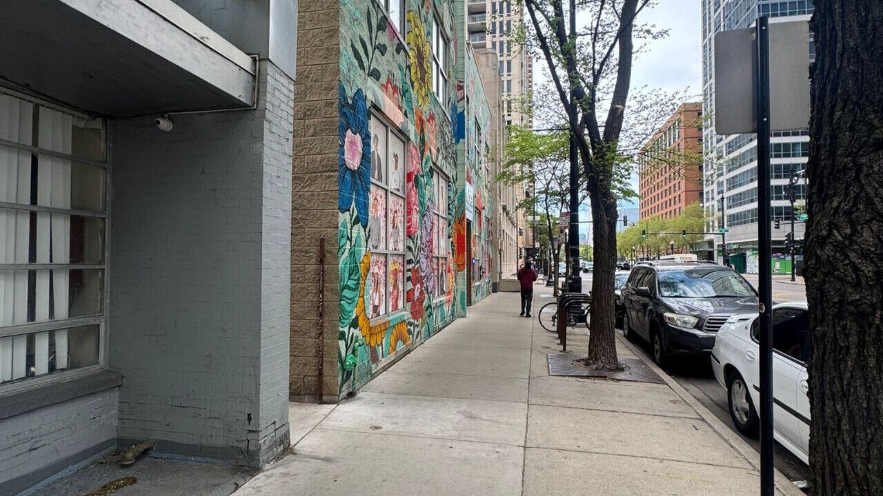Photo of Others in South Loop