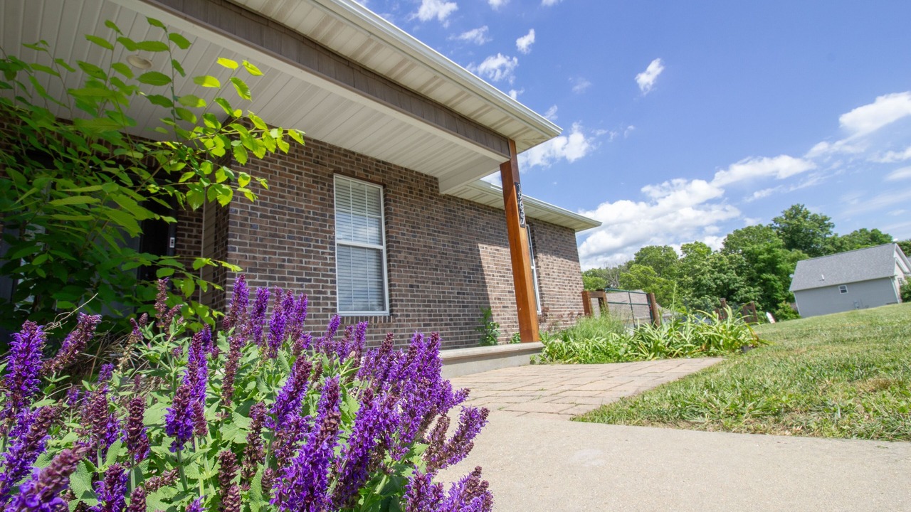 Photo of Outdoor in Waynesville