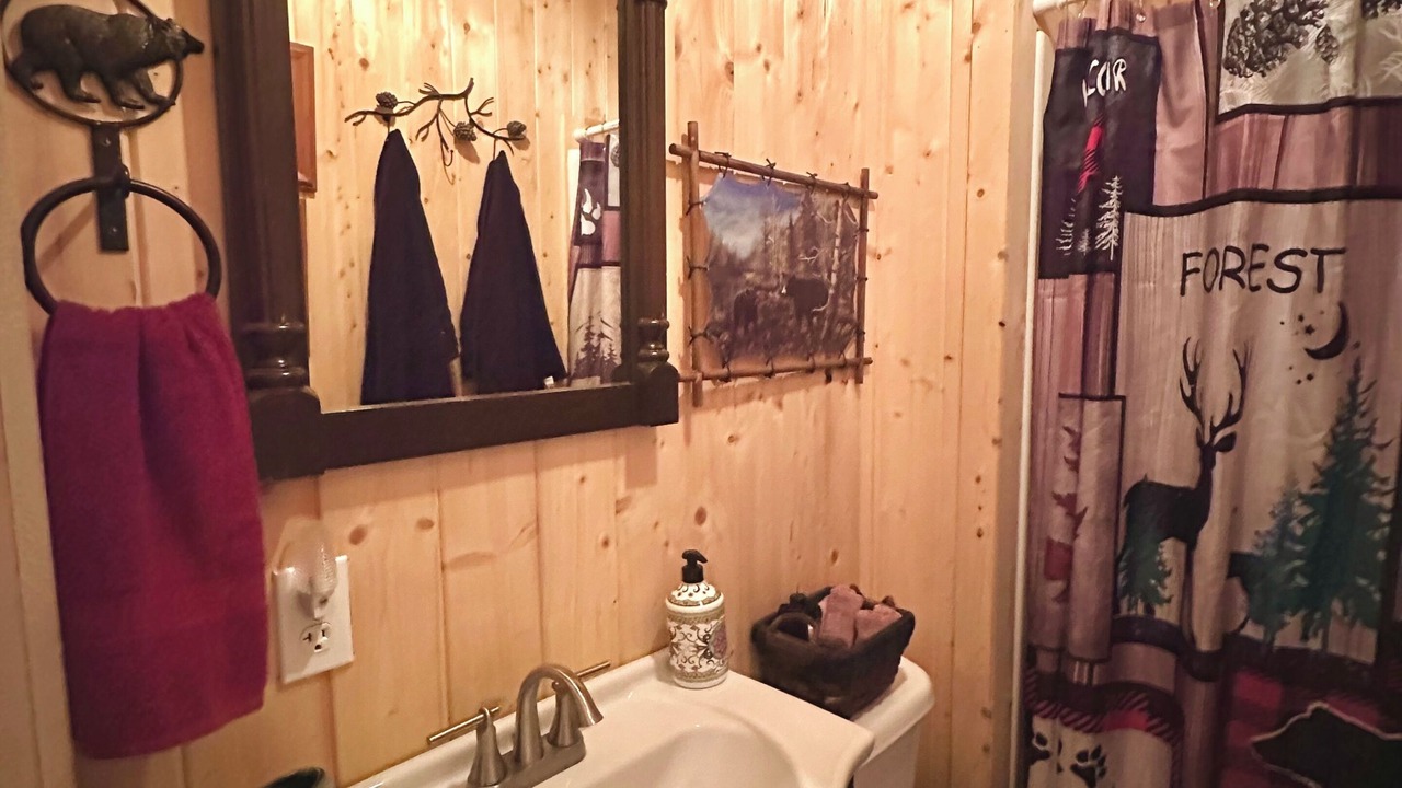 Photo of Bathroom in Cosby