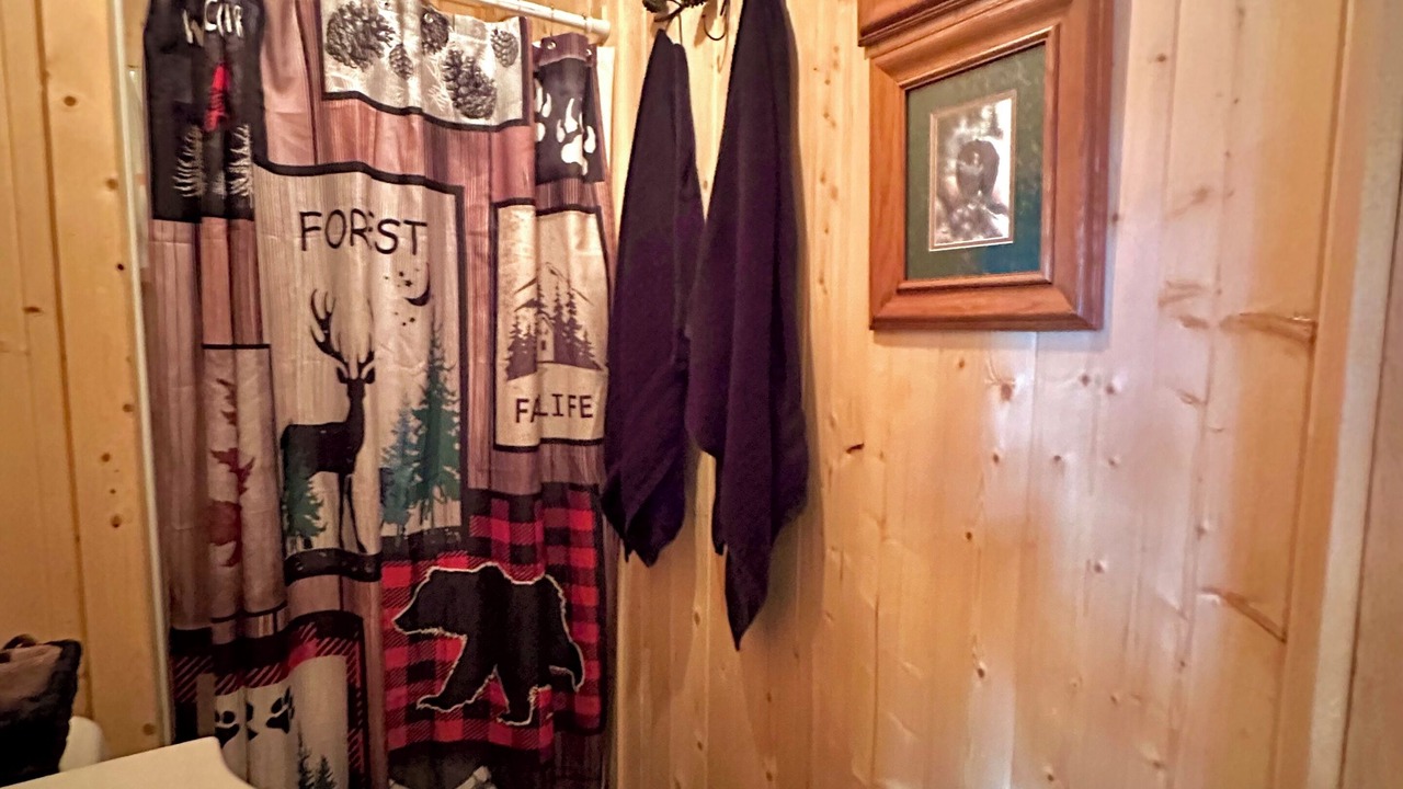 Photo of Bathroom in Cosby