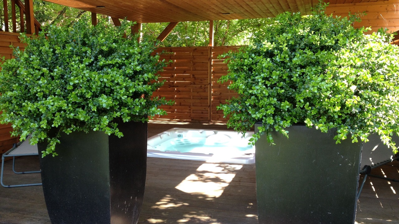 Photo of Outdoor in Amboise