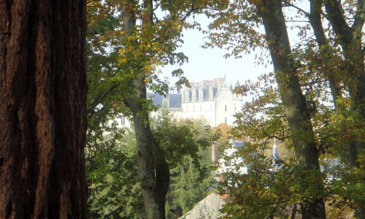 Photo of Others in Amboise