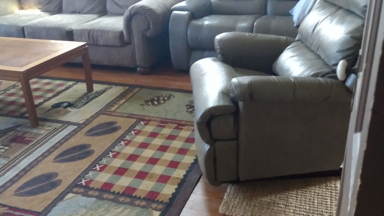 Photo of Livingroom in Cawker City