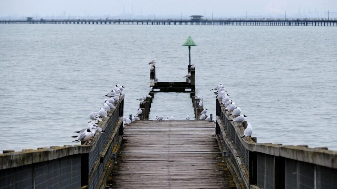 Photo of Others in Westcliff-on-Sea
