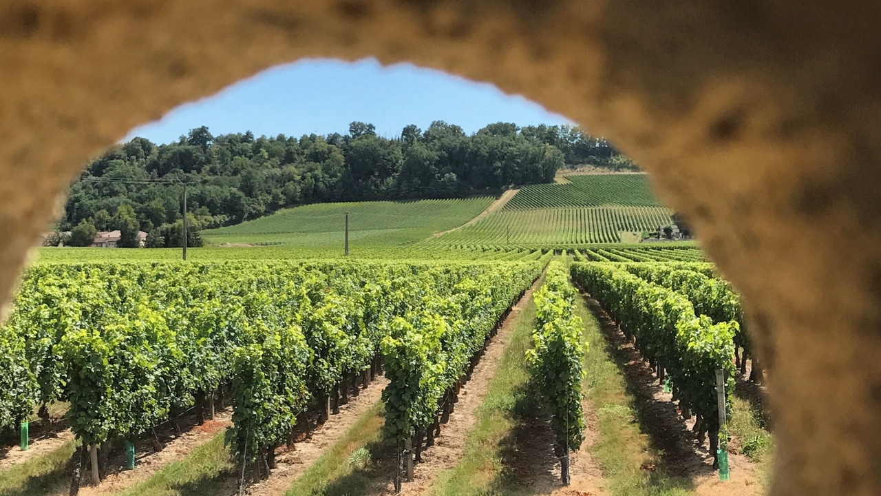 Photo of Others in Flaujagues