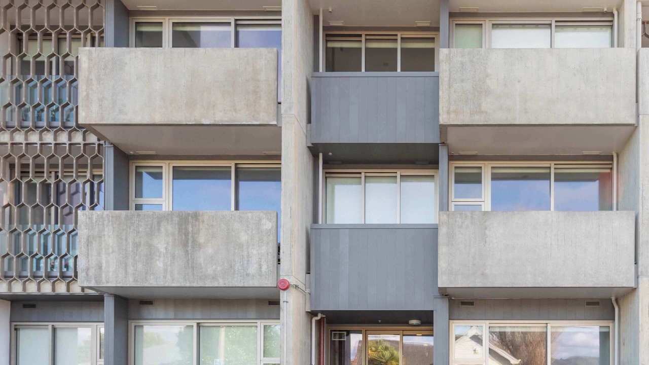 Photo of Outdoor in Petone