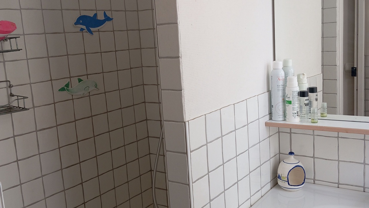 Photo of Bathroom in Guilherand-Granges