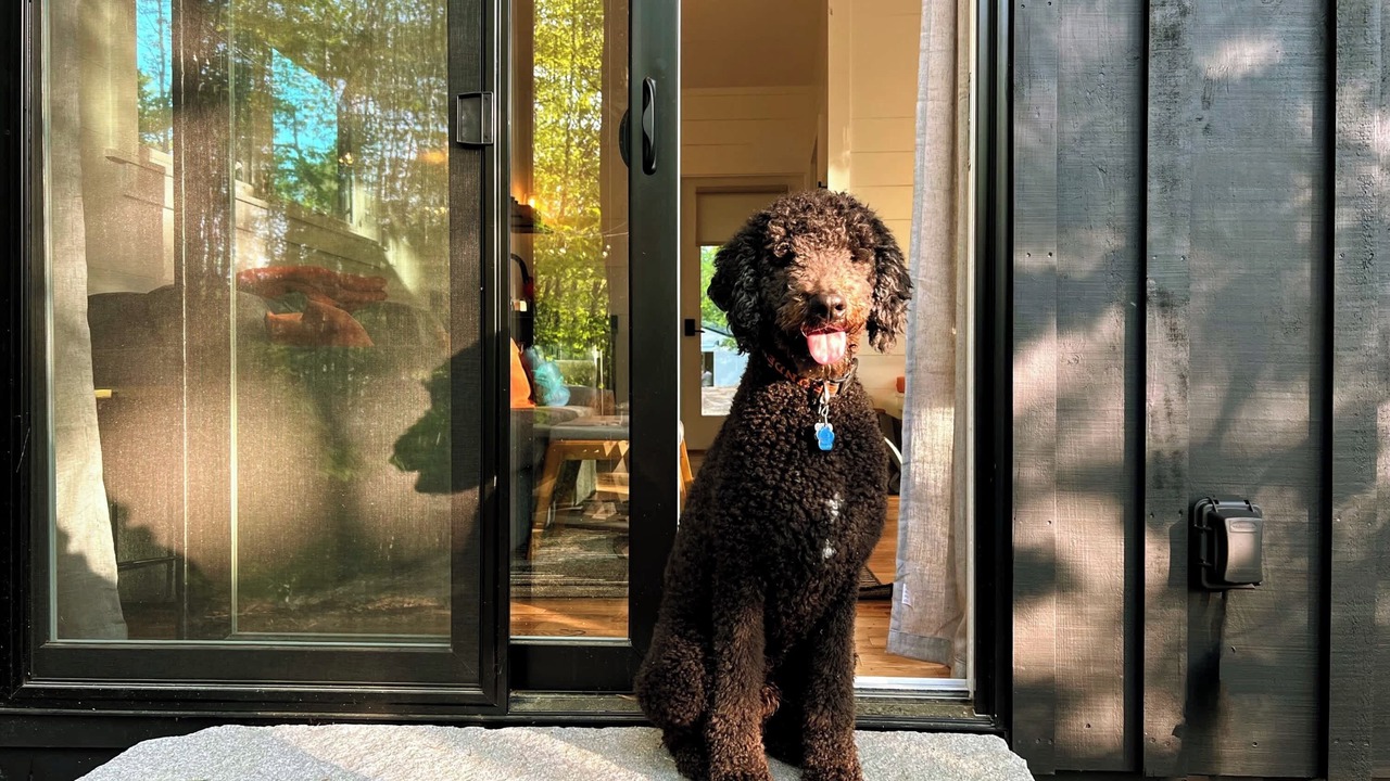 Photo of Others in Freeport