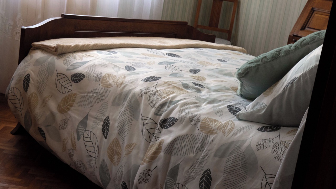 Photo of Bedroom in Le Teich