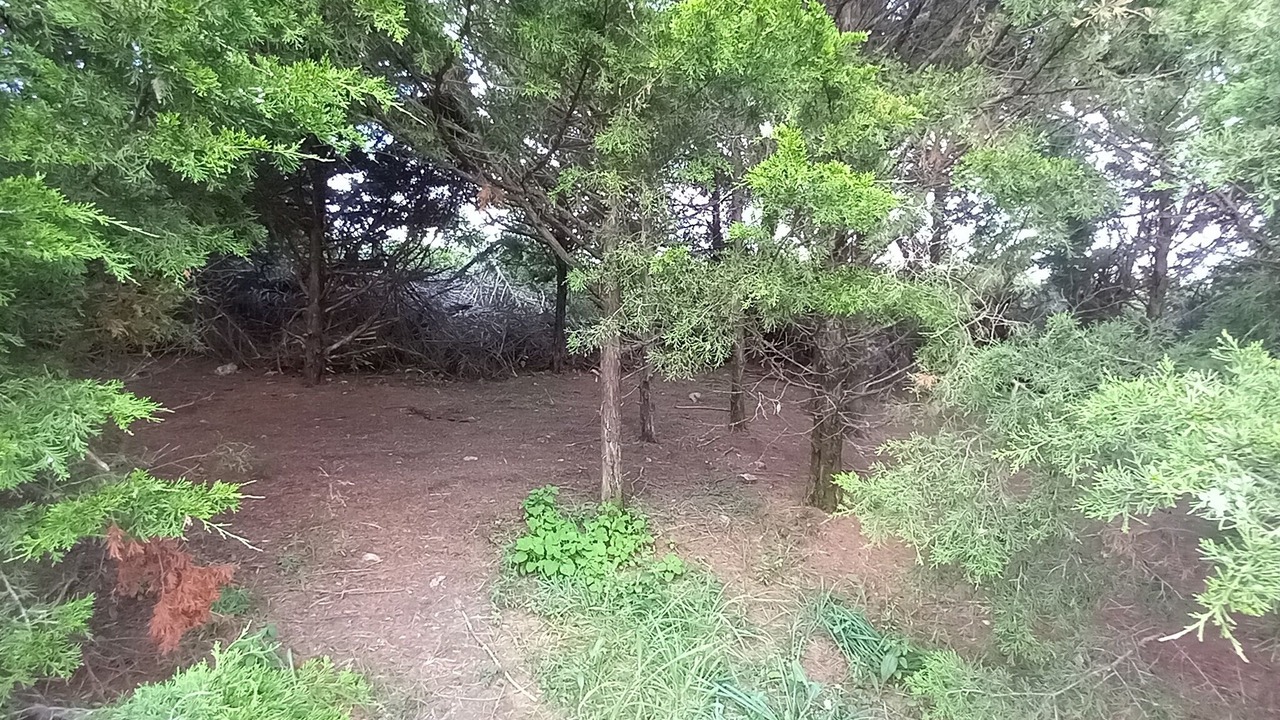 Photo of Others in Elkland