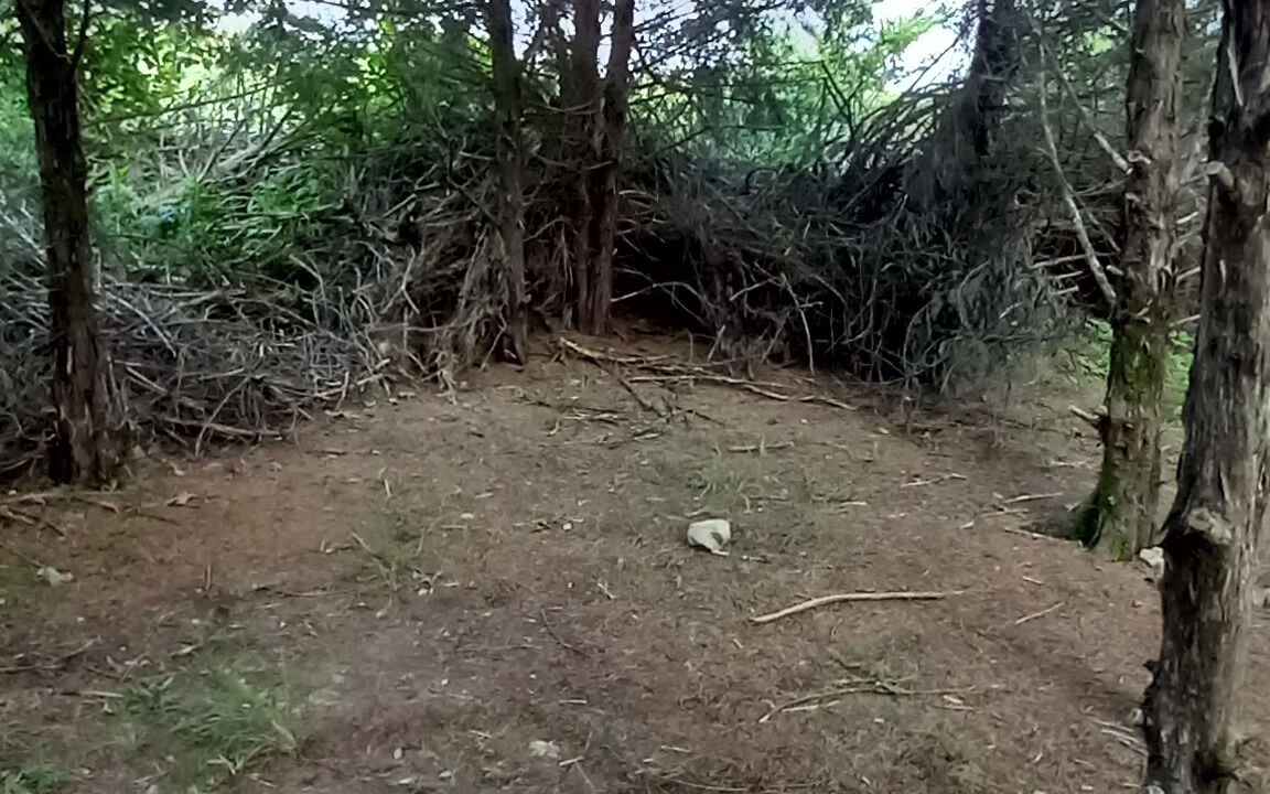 Photo of Others in Elkland