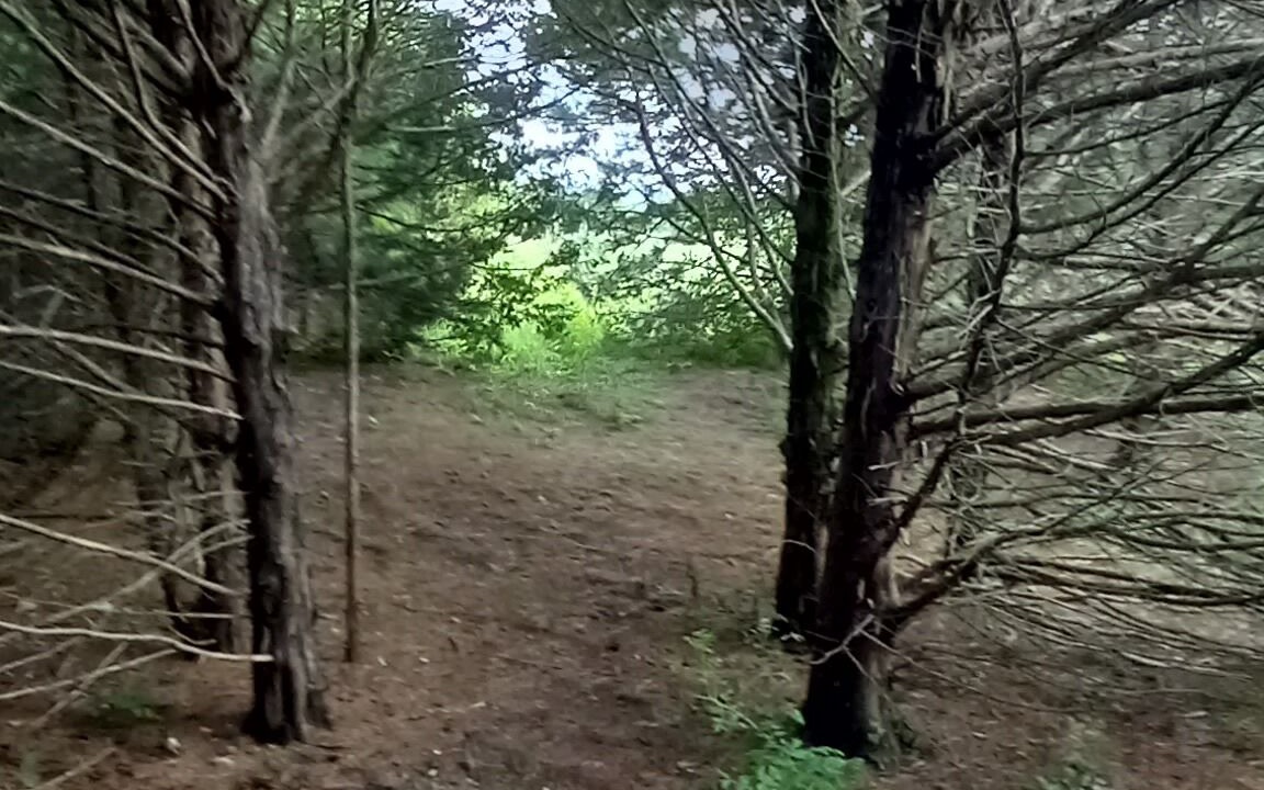 Photo of Others in Elkland