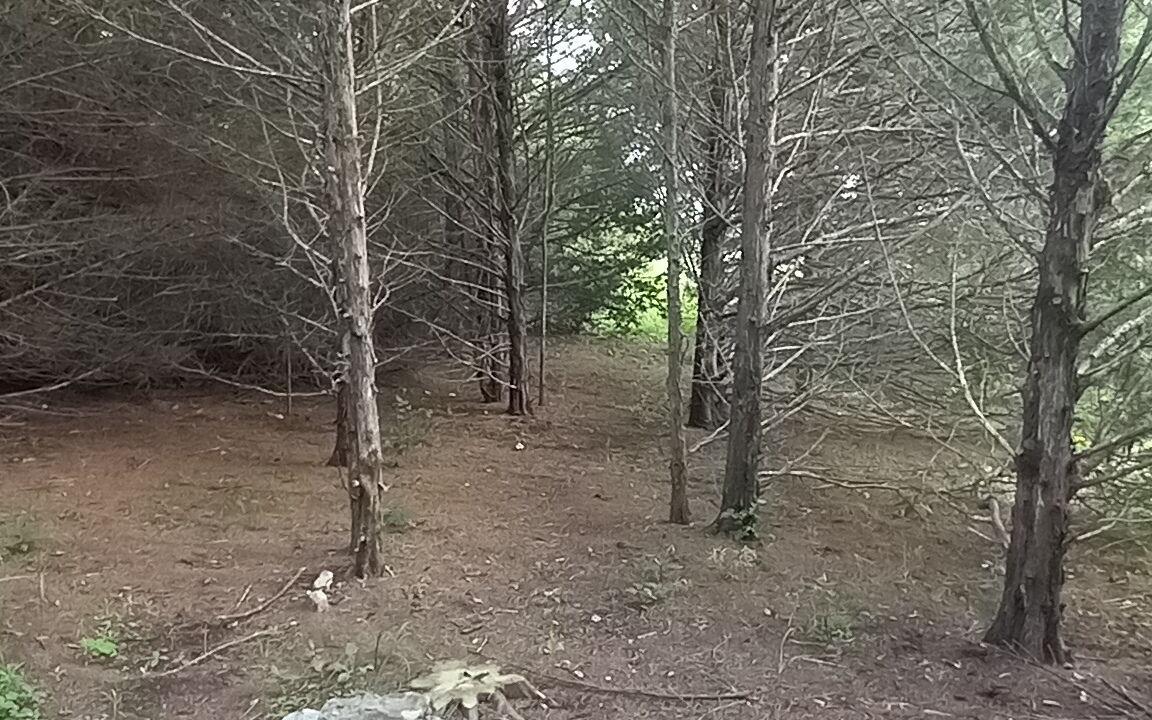 Photo of Livingroom in Elkland