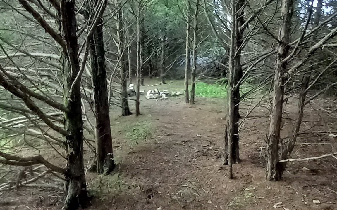 Photo of Others in Elkland