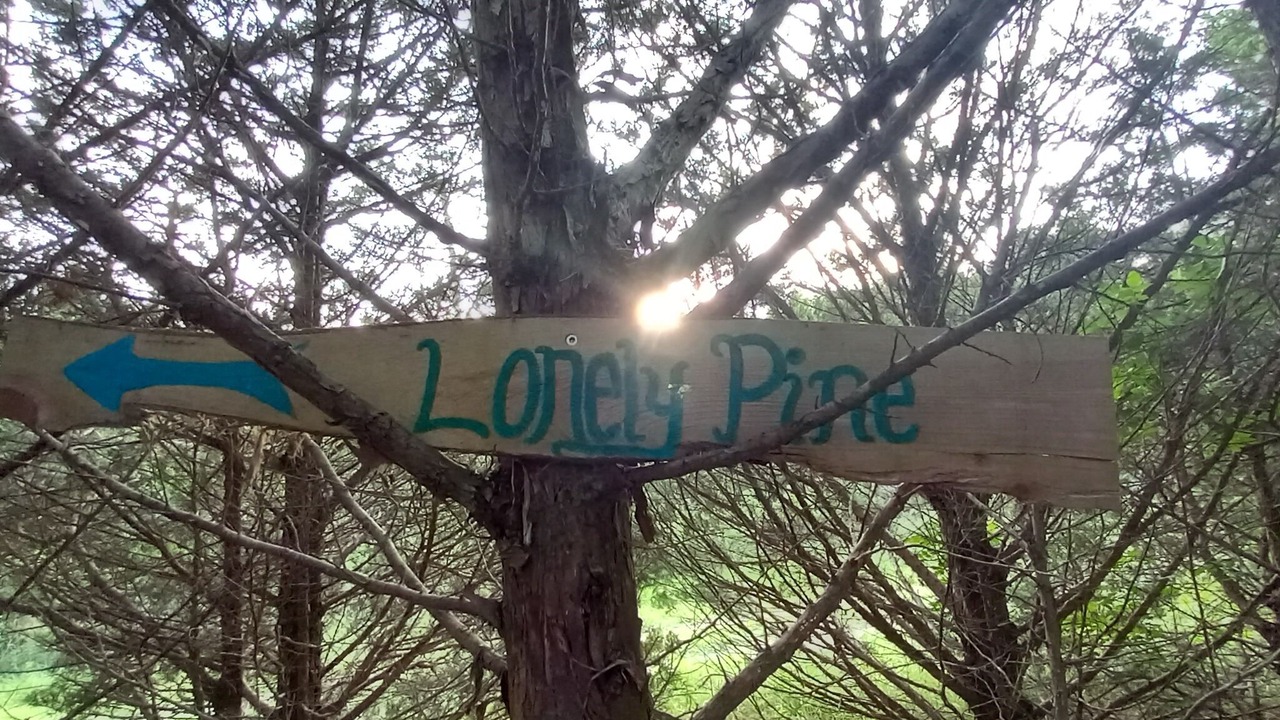 Photo of Others in Elkland