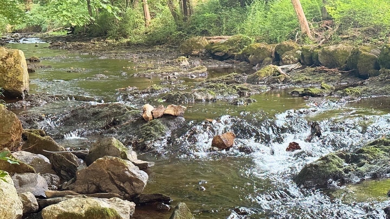 Photo of Others in Middle Hope