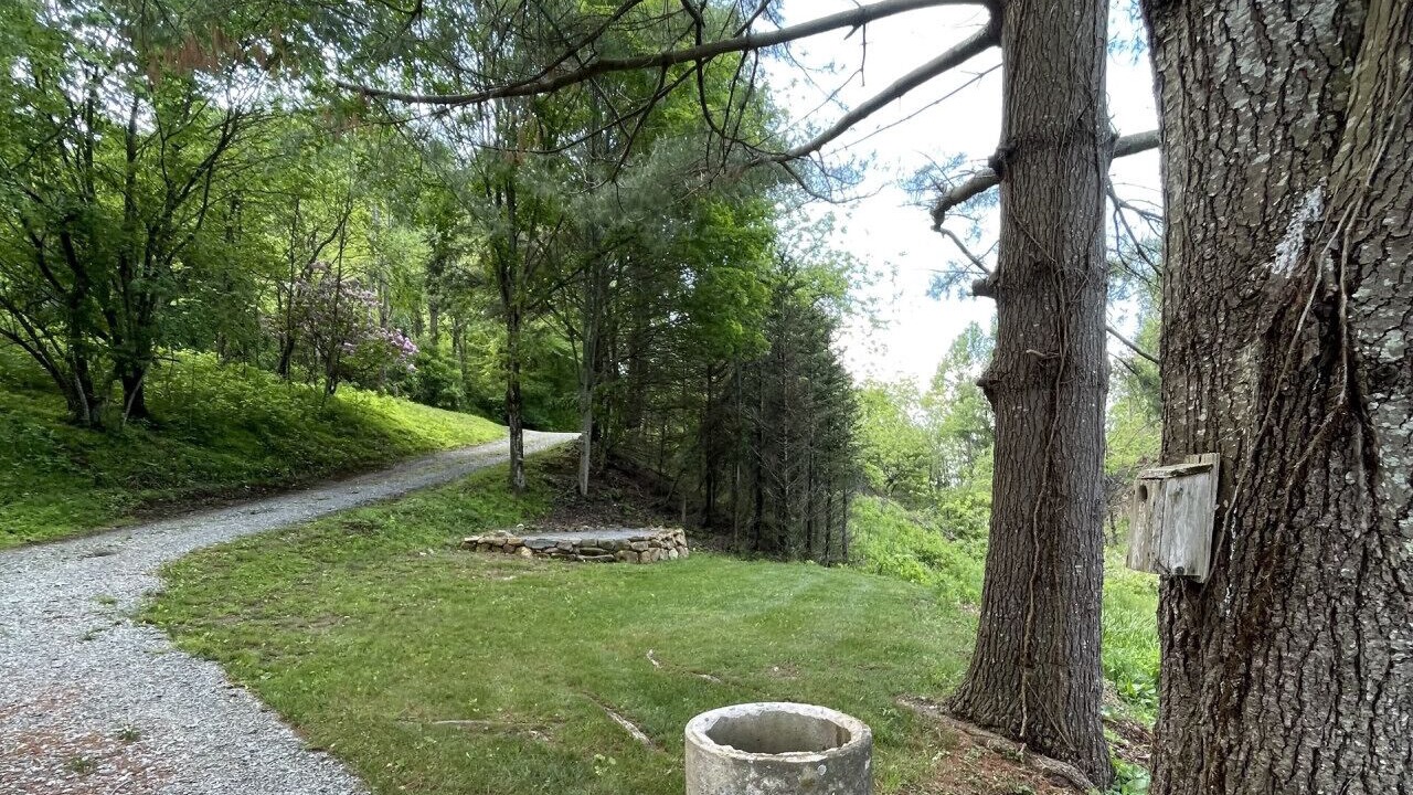 Photo of Outdoor in Mouth of Wilson