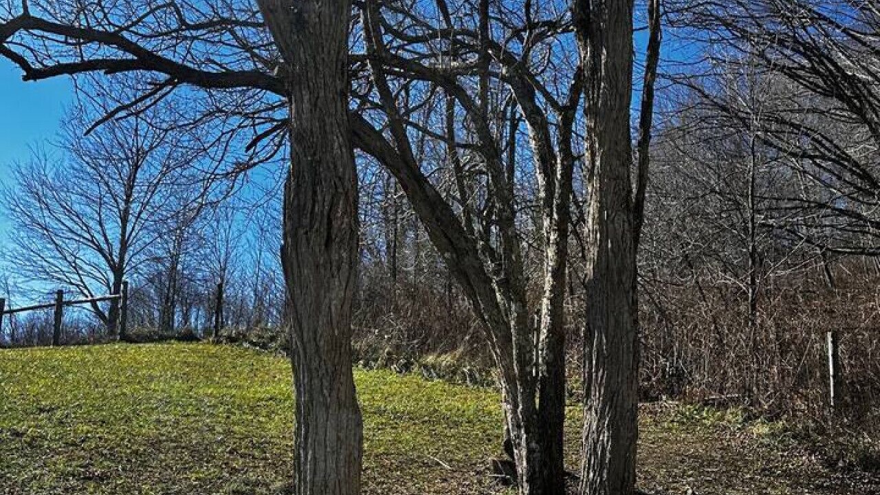 Photo of Others in Mouth of Wilson