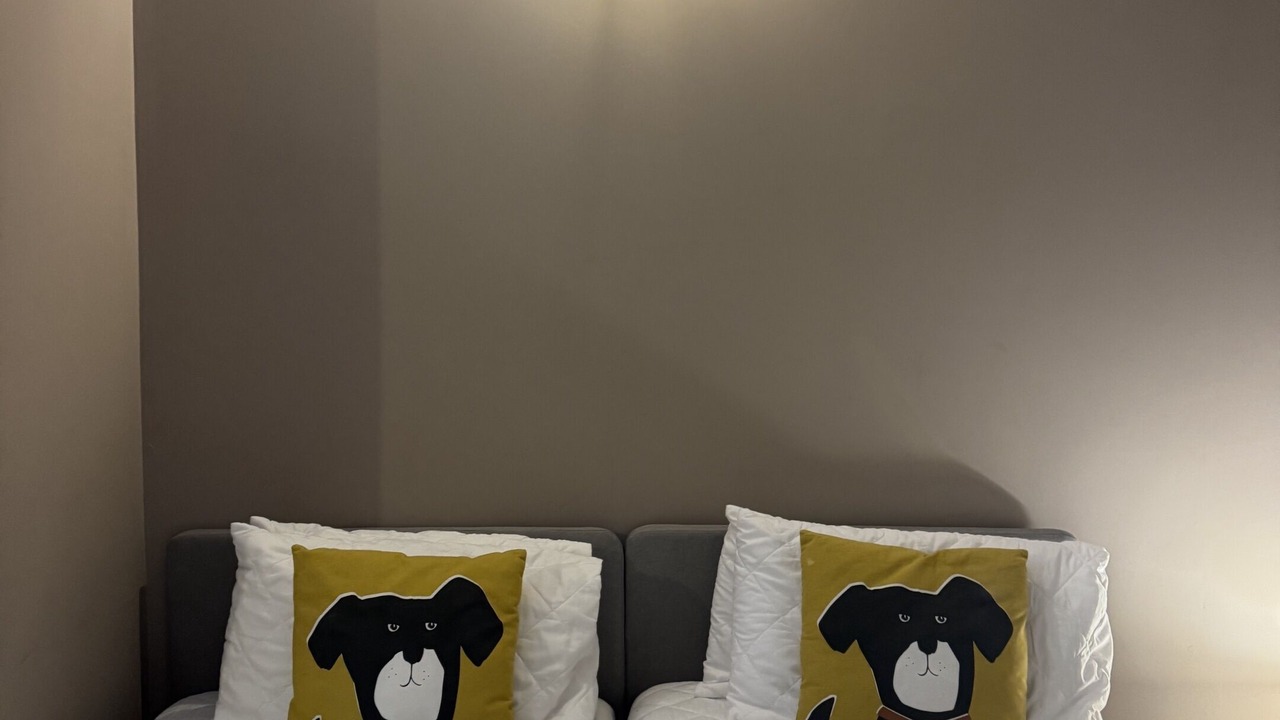 Photo of Others in Carlisle