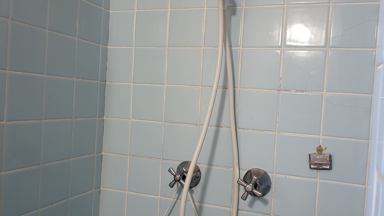 Photo of Bathroom in Buchanan Dam