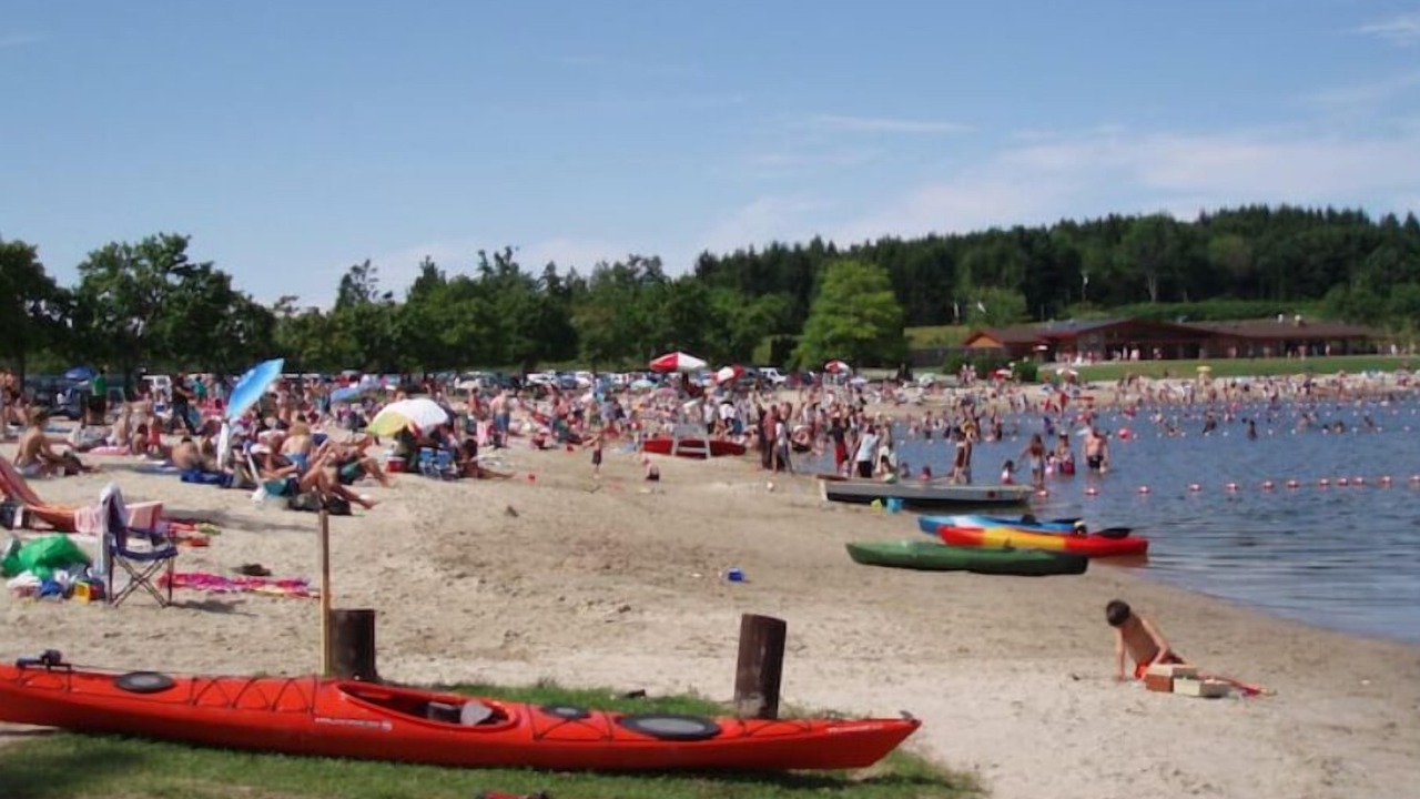 Photo of Others in Hollowville