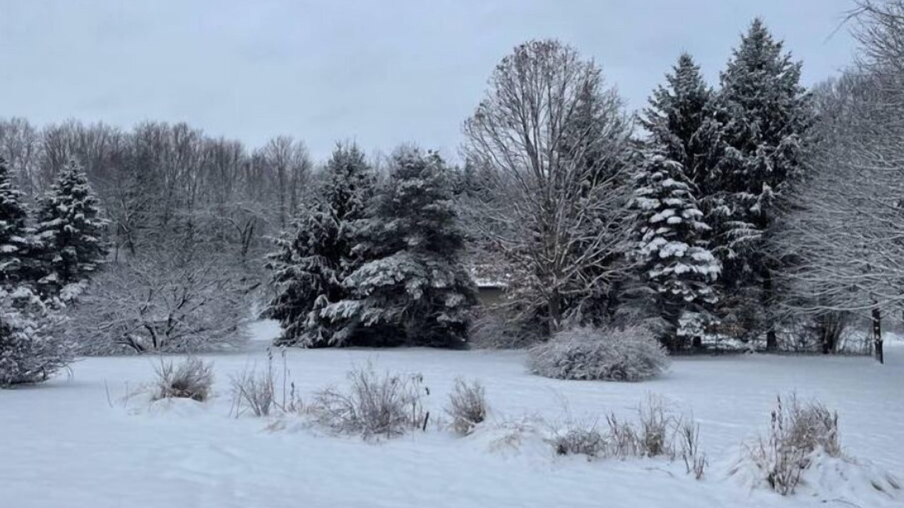 Photo of Others in Hollowville
