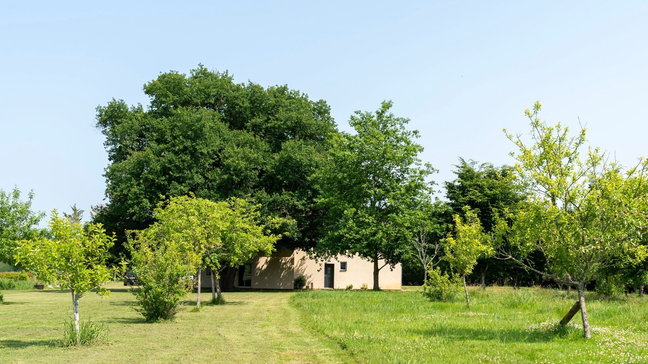 Photo of Outdoor in Mauleon-d'Armagnac