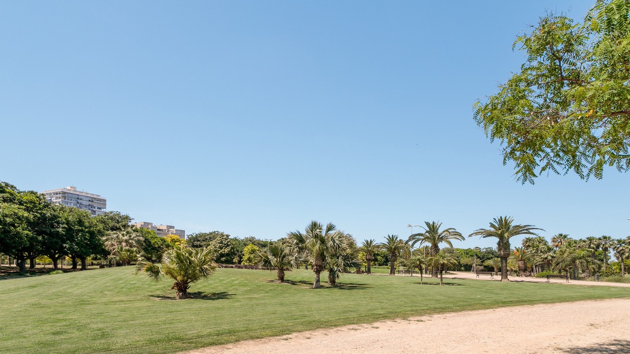 Photo of Others in Playa de San Juan