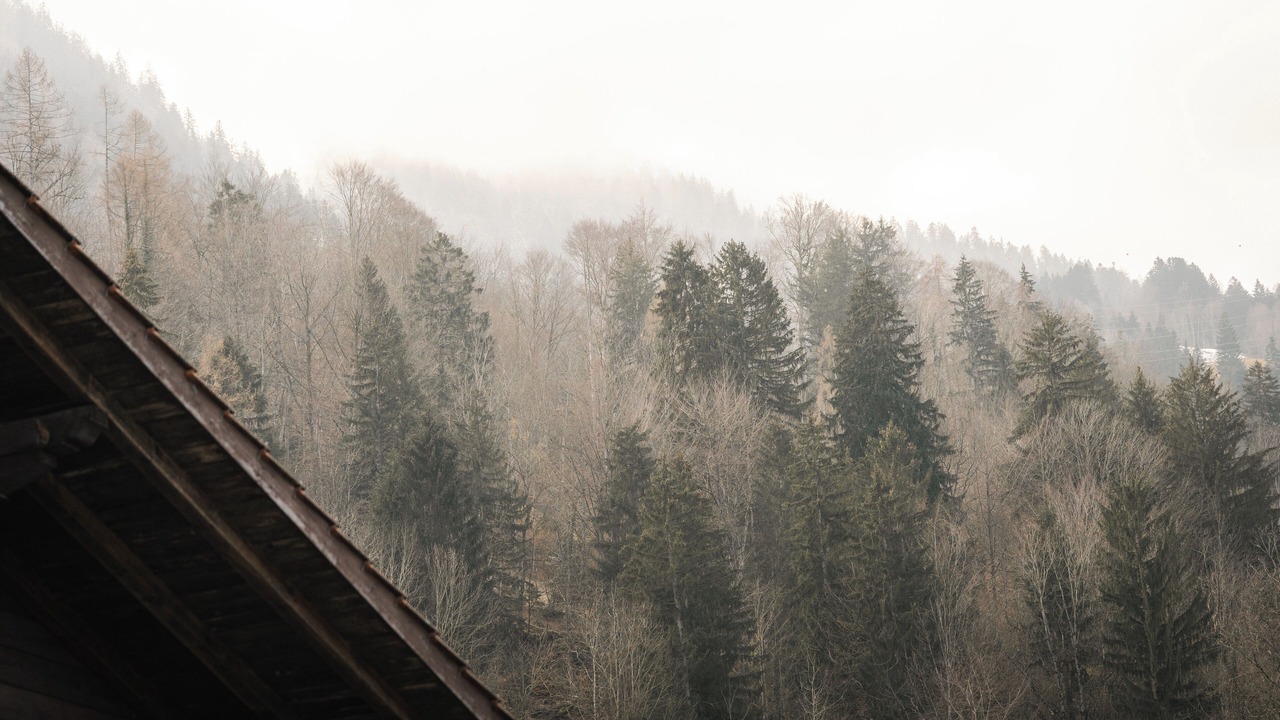 Photo of Others in Leissigen
