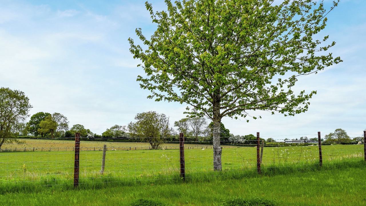 Photo of Outdoor in Earls Barton