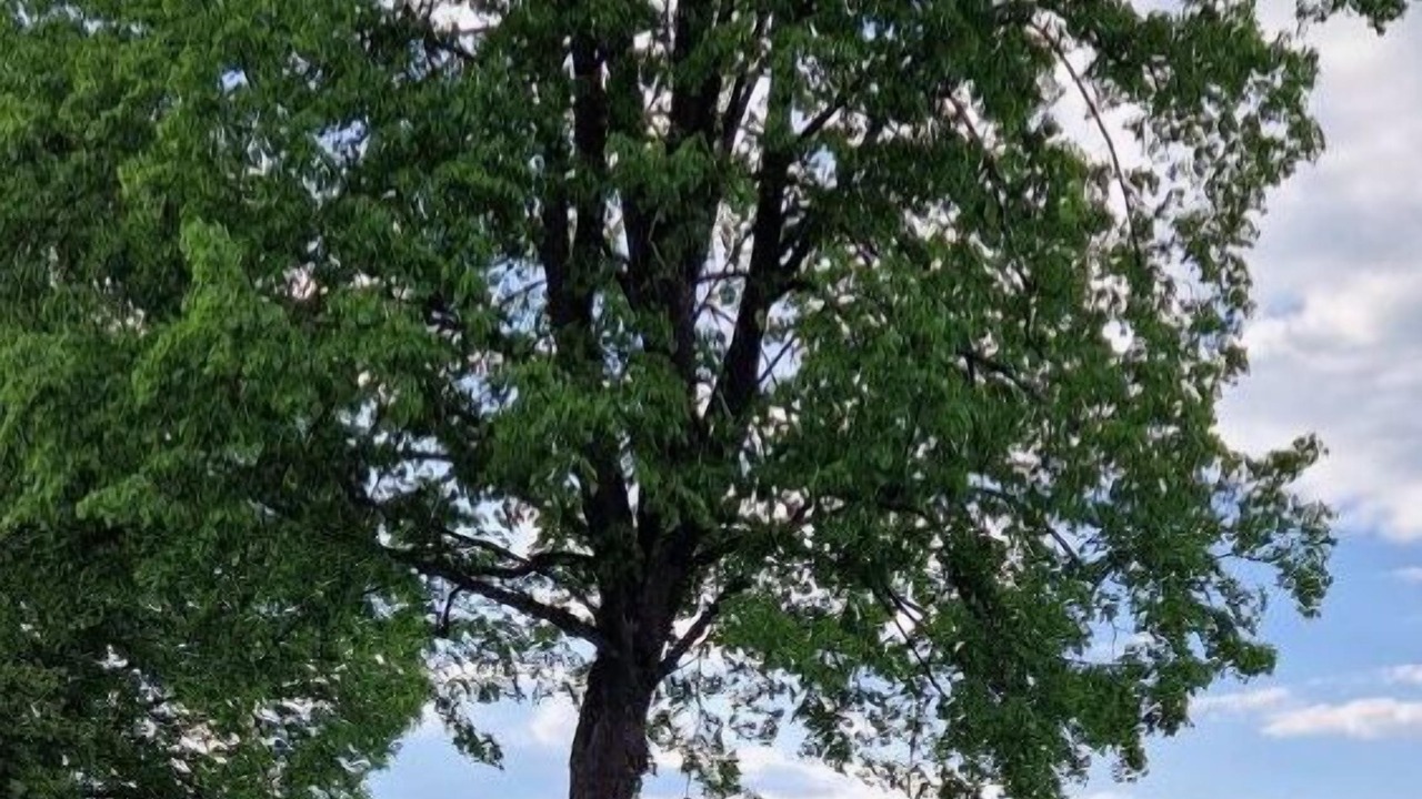 Photo of Others in Andelfingen District