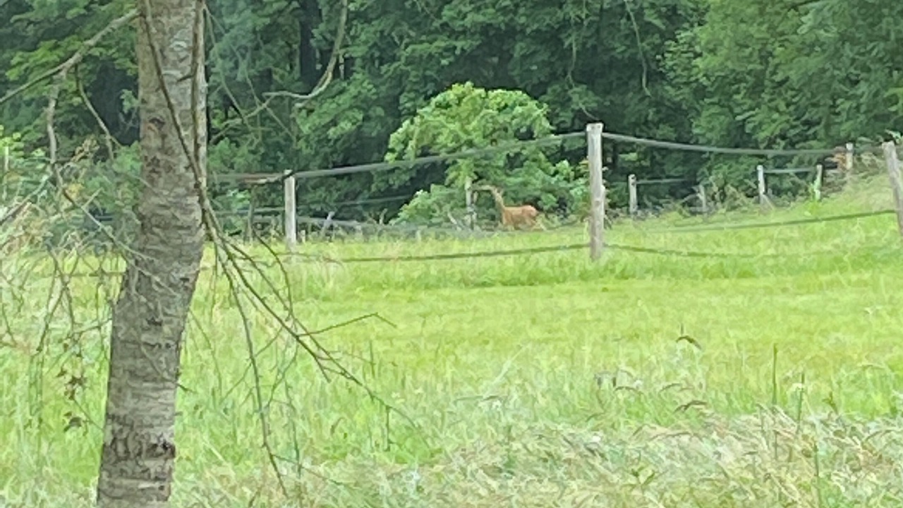 Photo of Others in Auffargis