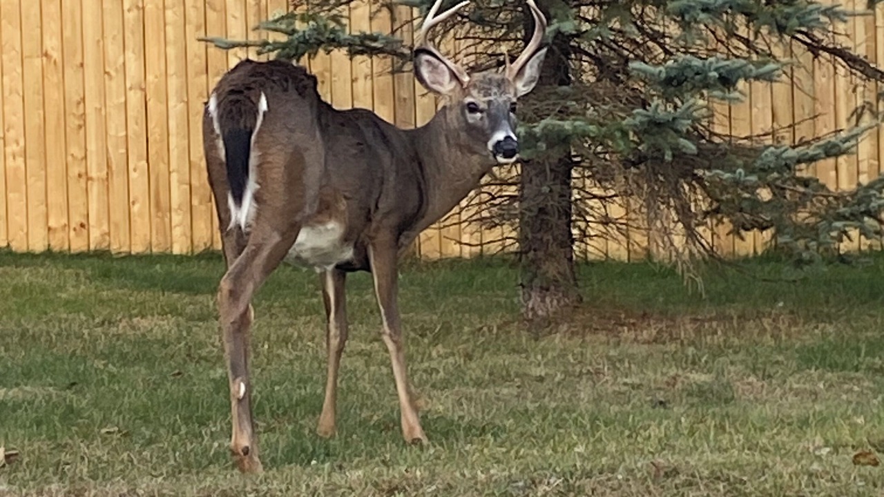 Photo of Others in Town of Webb